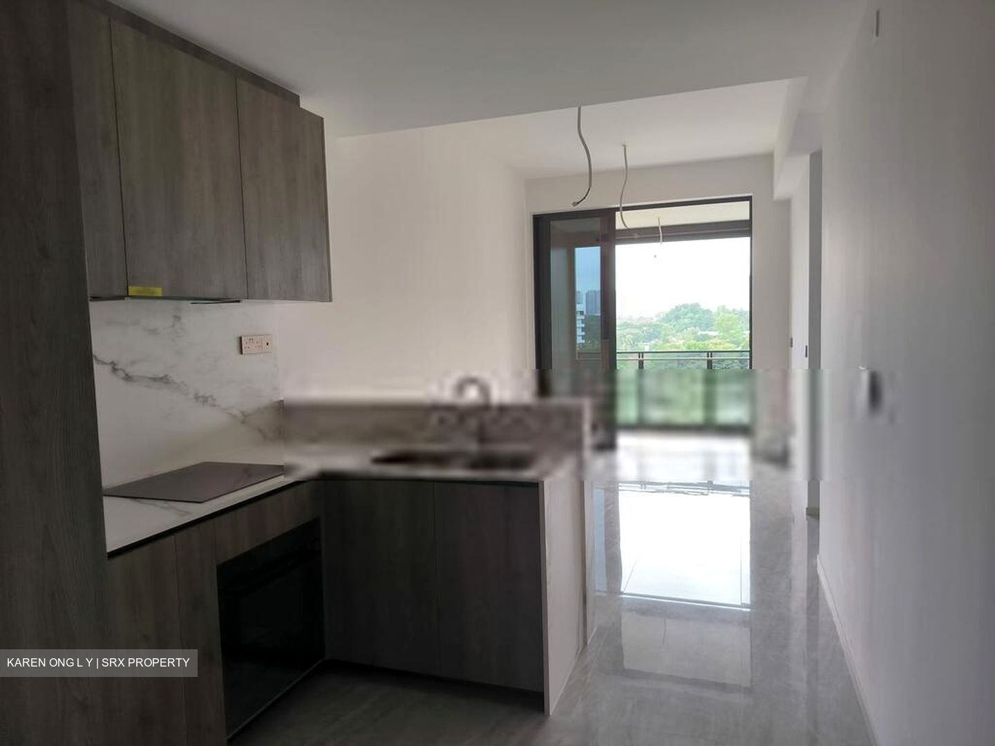 Leedon Green (D10), Condominium #422503711